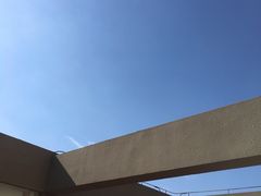 -林香柠·柠檬茶(新景店)