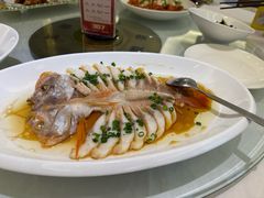 -骏莱海鲜鱼港(五角场店)