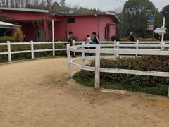 -杭州野生动物世界