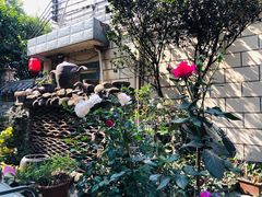 -园林美食城·本土农家菜(杨和镇店)