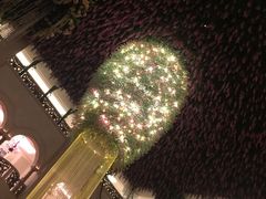 -深圳东部华侨城茵特拉根酒店
