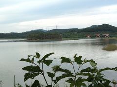 -美的鹭湖森林度假区