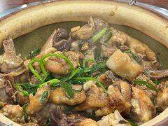 -华仔土鸡店(南洲分店)