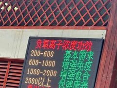 -野象谷景区