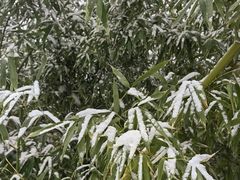 -海棠花溪(元大都城垣遗址公园)