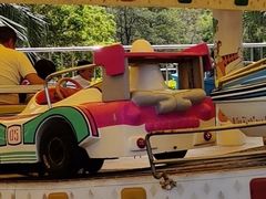 -泉州海丝野生动物世界