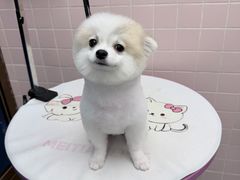 -FAELING PETS美天灵宠物(富力广场店)