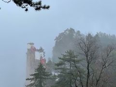 -塔云山