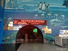 -蓬莱欧乐堡海洋极地世界