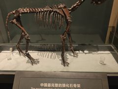 -大庆市博物馆