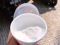 -洪馨椰子