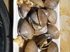 -枪火串烧·东北特色烧烤(罗湖总店)