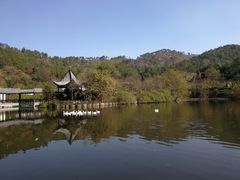 -黄陂区野村谷景区
