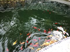 -大连北马山庄