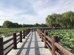 -长兴太湖图影湿地文化园