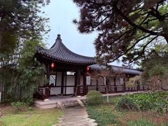 -江心屿景区