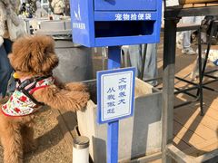 -小意思咖啡店(草桥店)