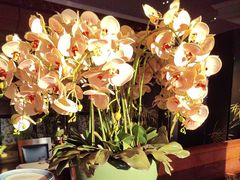 -八府香鸭·啫啫煲(华山路店)