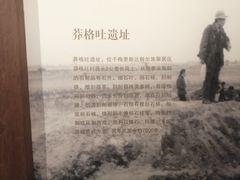 -齐齐哈尔市博物馆