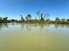 -泗洪洪泽湖湿地景区