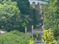 -苏州上方山国家森林公园
