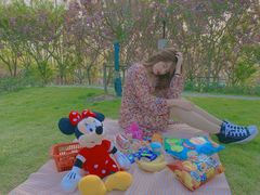 -合肥滨湖国家森林公园