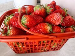 -浦江城市生活广场(江月路店)