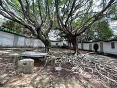 -东山风动石景区