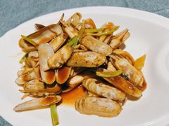 -余姚阳明温泉山庄