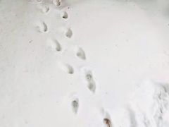 -崂山巨峰游览区