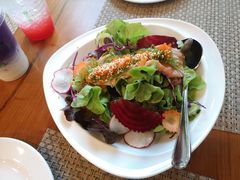 三文鱼沙拉-Chom Cafe and Restaurant