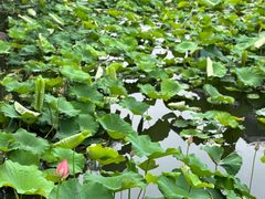 -君澜·绍兴鉴湖大酒店