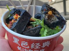 -黑色经典臭豆腐·湖南特产(坡子街店)