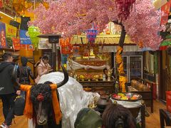 -吉祥圣雪藏餐