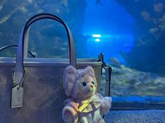 -太平洋海底世界