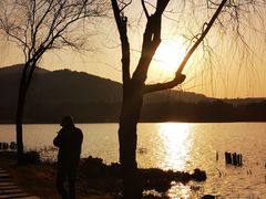 -长广溪湿地公园