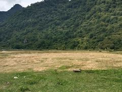 -狮子沟牧场