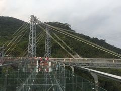 -呀诺达热带雨林