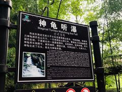 -藏龙百瀑风景区