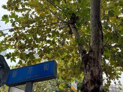 -青石桥花鸟鱼虫市场(叠翠城店)