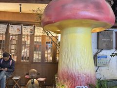 -菌自由丨野生菌火锅特色庭院餐厅(丽江古城店)