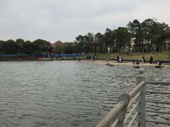 -美兰湖景区
