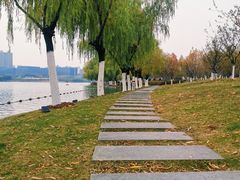 -天鹅湖体育公园