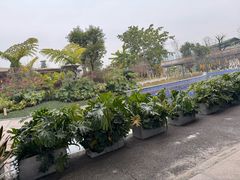 -茅草房·河畔园林火锅