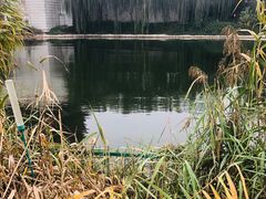 -西安汉城湖景区