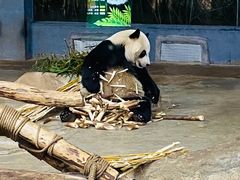 -海南热带野生动植物园