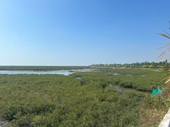 -北海金海湾红树林生态旅游区