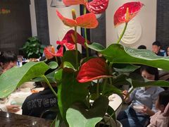 -松鹤楼(山塘街店)