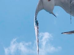-海埂大坝