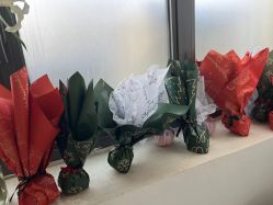 -安那般那皮肤年轻化ANAPANA